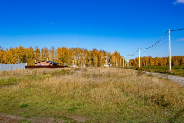 
  Продается земельный участок 18.84 соток. Фото 18.