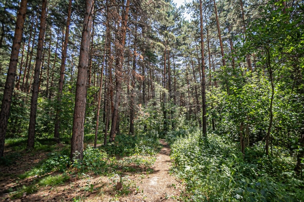 
  Продается 1-комн. квартира 39 м². Фото 21.