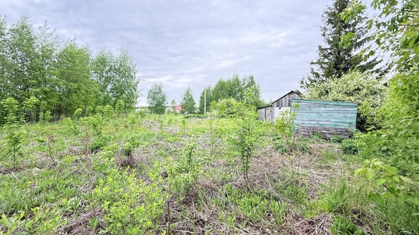 
  Продается дача 25 м². Фото 26.