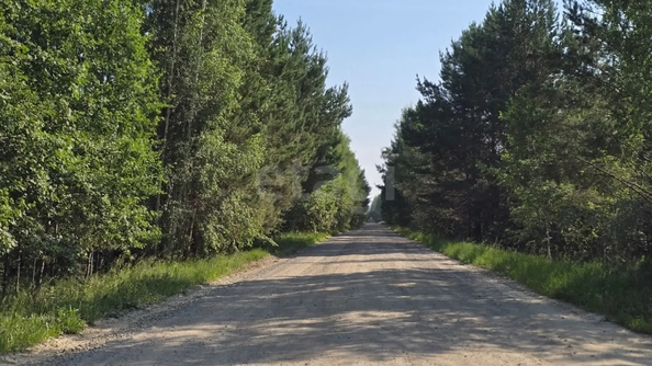 
  Продается дача 46 м². Фото 29.