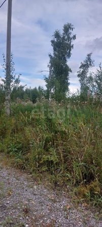 
  Продается земельный участок 7.92 соток. Фото 27.
