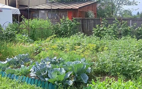
  Продается дом 45 м². Фото 7.