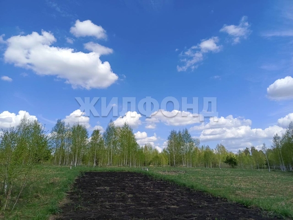 
  Продается земельный участок 10 соток, в КП Время Гринвич. Фото 1.