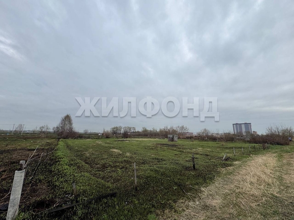 
  Продается земельный участок 12 соток. Фото 2.