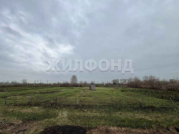 
  Продается земельный участок 12 соток. Фото 3.