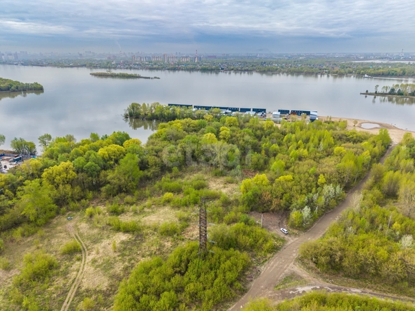 
  Продается земельный участок 65 соток. Фото 3.