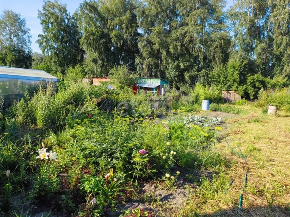 
  Продается дача 20 м². Фото 5.