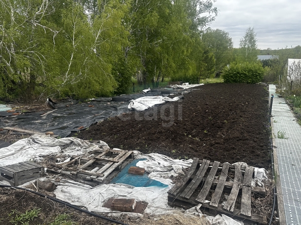 
  Продается земельный участок 23.51 сотки. Фото 15.