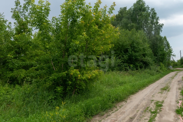 
  Продается земельный участок 12 соток. Фото 3.