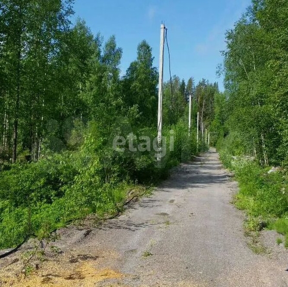 
  Продается земельный участок 8 соток. Фото 4.