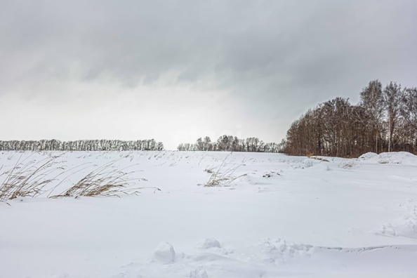
  Продается земельный участок 5 соток. Фото 4.