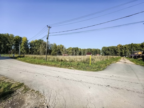 
  Продается земельный участок 7.2 соток, в КП Клевер. Фото 8.