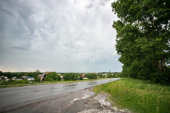 
  Продается земельный участок 24 сотки. Фото 14.