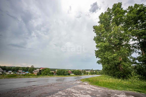 
  Продается земельный участок 24 сотки. Фото 17.