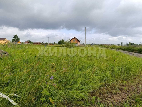 
  Продается земельный участок 10.75 соток. Фото 12.