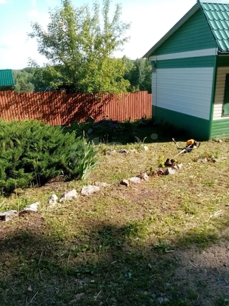 
  Продается дача 33 м². Фото 2.