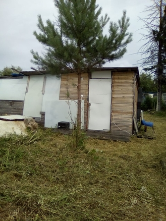 
  Продам дачу 24 м². Фото 6.