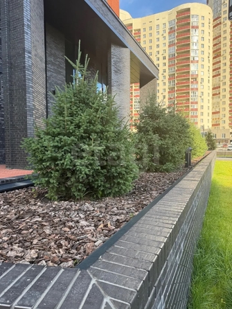 
  Продается 2-комн. квартира 48.7 м², в ЖК Тайм Сквер. Фото 25.