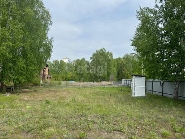 
  Продается земельный участок 10.3 соток. Фото 3.