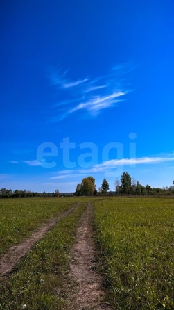 
  Продается земельный участок 6 соток. Фото 5.