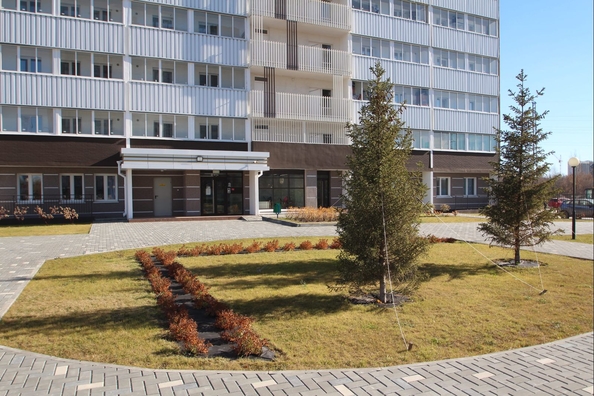 
  Продается студия 26.74 м², в ЖК Радуга Сибири, дом 11. Фото 5.