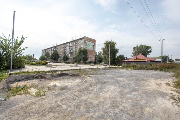 
  Продается земельный участок 12 соток. Фото 6.