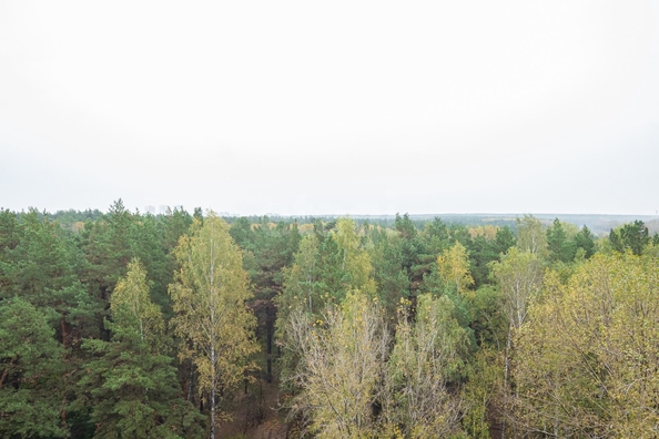 
  Продается 3-комн. квартира 62.9 м². Фото 23.