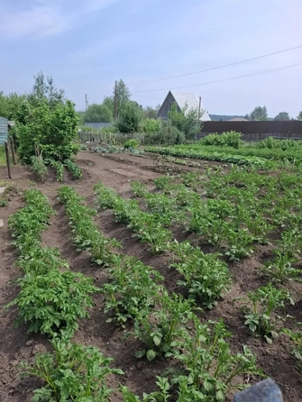 
  Продается дача 42 м². Фото 22.