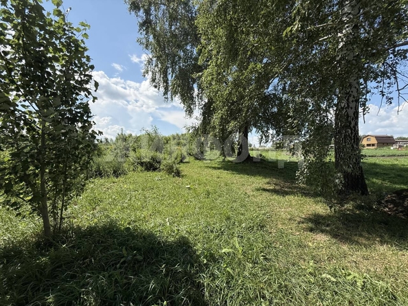 
  Продается земельный участок 31.97 сотка. Фото 6.