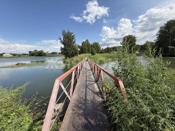 
  Продается земельный участок 31.97 сотка. Фото 17.