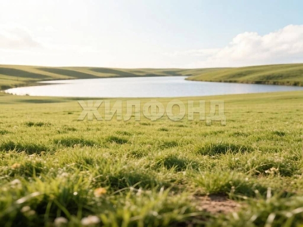 
  Продается земельный участок 150.77 соток. Фото 3.
