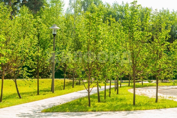 
  Продается 3-комн. квартира 65.8 м², в ЖК Чкалов, дом 2. Фото 19.