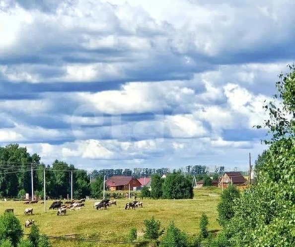 
  Продается земельный участок 8 соток. Фото 3.