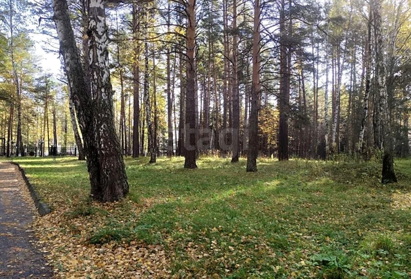 
  Продается земельный участок 228.42 соток. Фото 5.