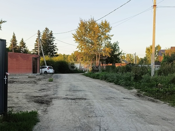 
  Продается земельный участок 6 соток. Фото 2.