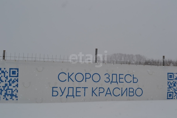 
  Продается земельный участок 80 соток. Фото 6.