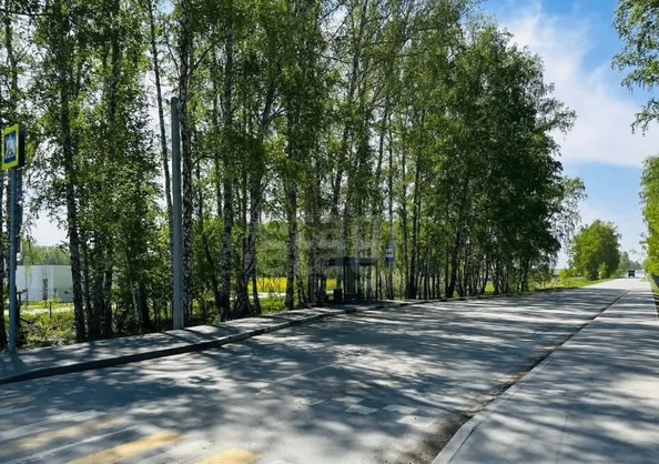 
  Продается земельный участок 7.25 соток, в КП Соловьи. Фото 3.