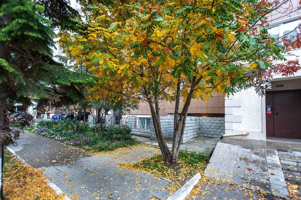 
  Продается студия 25 м². Фото 19.