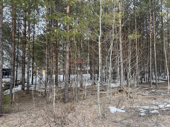 
  Продается земельный участок 9 соток, в КП Лаки Парк. Фото 6.