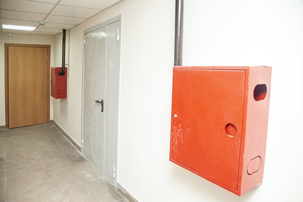 
  Продается производственное помещение 55.3 м², в ЖК Ельцовский, 1-2 б/с. Фото 15.