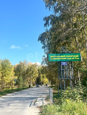 
  Продается земельный участок 20 соток. Фото 5.
