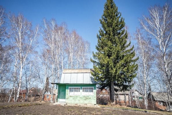 
  Продается дача 12 м². Фото 5.