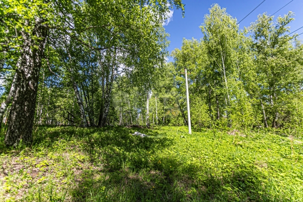 
  Продается земельный участок 10.4 соток. Фото 36.