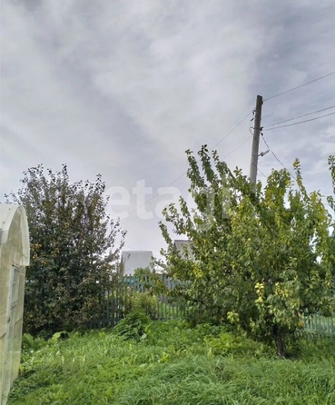 
  Продается дача 16 м². Фото 14.