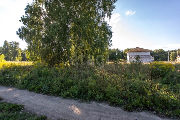 
  Продается земельный участок 9.56 соток. Фото 8.