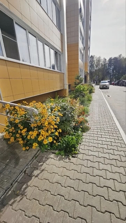 
  Продается 3-комн. квартира 63 м². Фото 17.
