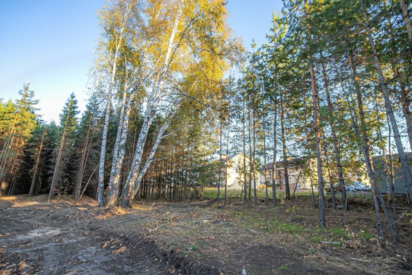 
  Продается земельный участок 9.7 соток. Фото 15.