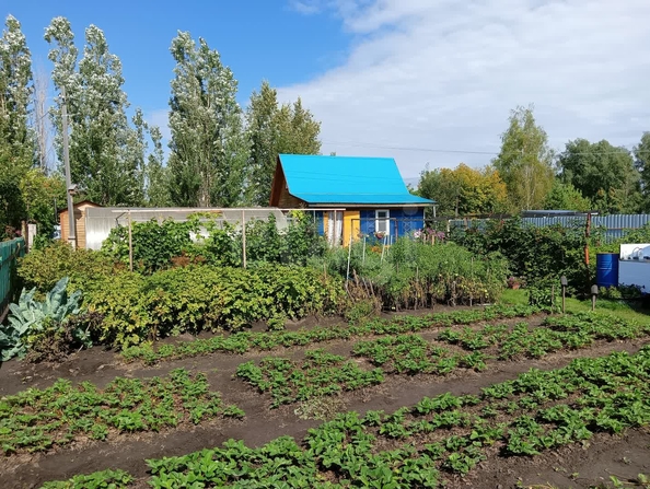 
  Продается дача 22.2 м². Фото 16.