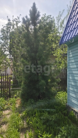
  Продается дача 80 м². Фото 16.