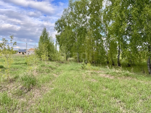 
  Продается земельный участок 71.76 сотка. Фото 12.